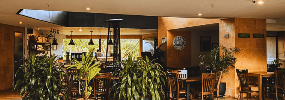 Al Alma Café el restaurante aliado de Travelers Apts & Suites en Medellín
